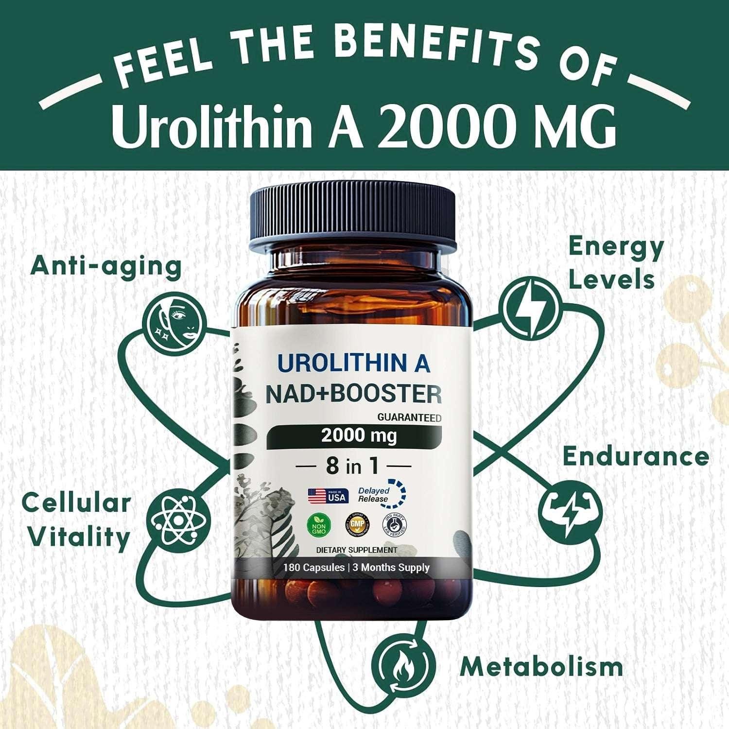 Urolithin A NAD+ Booster 2000mg supplement bottle promoting energy, metabolism, anti-aging, and vitality benefits.
